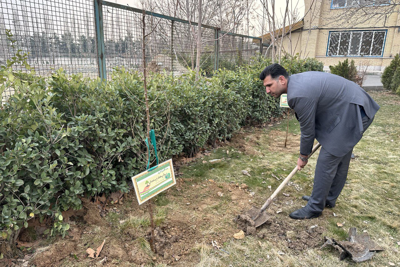 کاشت نهال در فدراسیون هندبال به یاد محمود مشحون و شهید الداغی